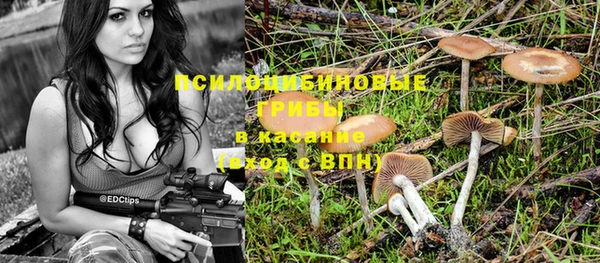 эйфоретик Алексеевка