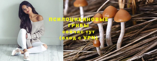 трава Протвино