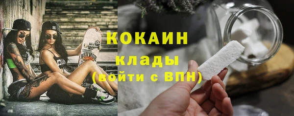 винт Абаза